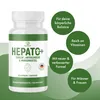 Hepato + gélules | avec ARTICHAUT, CHOLINE & DISTILLON DE Voir les images du produit 2