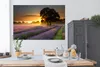 MuchoWow® Poster Maifeld-Lavendelfeld mit nebligem Produktbild-Vorschau 3