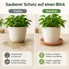 Pflanztopfuntersetzer Mira Terrakotta Ø 49cm - Rund Produktbild-Vorschau 6