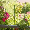 Bradas Gartenstange TYP11080 1,1 x 80 cm 10 Stk Produktbild-Vorschau 4
