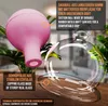 Pulox Schröpfgläser Set aus Echtglas 5 Stück. diverse Produktbild-Vorschau 2