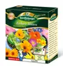 Quedlinburger Saatgut - Essbare Blüten - Samen - 2971654 Produktbild-Vorschau 4