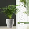 A white planter with a green plant inside, placed in front of a dark gray wall and a white wall with trees and grass visible through a glass partition. Large white letters spelling "KADAX" are superimposed on the white wall. Náhľad obrázku produktu