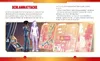 MARVEL: Spannende 5-Minuten-Geschichten Produktbild-Vorschau 5