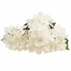 Hortensia Dense Beau Bouquet D'hortensias Fleurs Voir les images du produit 16
