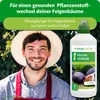 Purgrün -Feigendünger 1 Liter, Produktbild-Vorschau 2