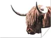 MuchoWow® Poster Schottischer Highlander - Kuh - Hoorn Produktbild-Vorschau 1