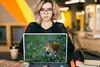 MuchoWow® Laptop Aufkleber Sticker Cover Eichhörnchen - Produktbild-Vorschau 5