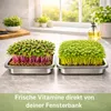Friendly Fox Microgreens Anzuchtschale aus Edelstahl, 2er Produktbild-Vorschau 2
