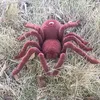 Ferngesteuerte Spinne – Realistische Bewegung | 15 cm Länge Produktbild-Vorschau 7