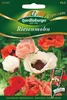 Turecki mak olbrzymi splendour mix Podgląd zdjęcia produktu 1