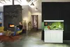 JUWEL Aquarium Rio 450 inkl. LED-Beleuchtung, Pumpe, Filter Produktbild-Vorschau 12