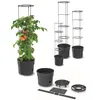Tomatenpflanze aus Kunststoff Pflanzkübel 18 L, Produktbild-Vorschau 6