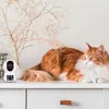 Arenti P3TT 3 MP WLAN Überwachungskamera für Innenbereiche Produktbild-Vorschau 17