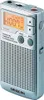 SANGEAN Sangean Electronics Sangean DT-250, AM, FM, MW, Podgląd zdjęcia produktu 4
