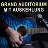 Akustická gitara Pyle - akustická gitara pre začiatočníkov, Náhľad obrázku produktu 4