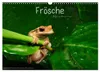 Frösche (Wandkalender 2027 DIN A3 quer), CALVENDO Produktbild-Vorschau 1