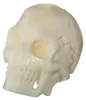 Haarschmuck Bartperle Blazer Totenkopf Knochen Lockenperle Produktbild-Vorschau 2