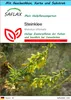 SAFLAX Geschenk Set - Steinklee - Melilotus officinalis - Produktbild-Vorschau 1