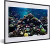 MuchoWow® MuchoWow® Gerahmtes Poster Aquarium mit Produktbild-Vorschau 1