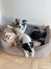 Hundebett Orthopädisches große Hunde, Waschbar Hundesofa Produktbild-Vorschau 6
