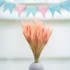 Getrocknete Triticale Pflanzen in Rosa, ca. 60 cm lang, ca. Produktbild-Vorschau 4