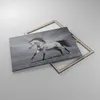 Bild auf Leinwand - Leinwandbild - Pferd Tier Natur - Produktbild-Vorschau 2
