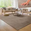 Tapis de salon moderne Tapis à poils courts Lavable Doux Voir les images du produit 7
