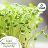 Toraf semená zeleniny XXL set 500 semien 12 druhov tekvica Náhľad obrázku produktu 3