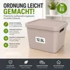 Plastard Aufbewahrungsbox mit Deckel 4er-Set 12,5 Liter in Produktbild-Vorschau 2