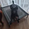A black dog is lying on an elevated dog bed with a toy. Produktbild-Vorschau