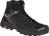 Salewa Herren Alp Trainer 2 Mid GTX Wanderstiefel Produktbild-Vorschau 1