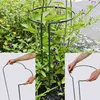 Siena Garden 609-508 Support d'arbuste55cm/6mm Voir les images du produit 2