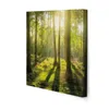 Art for the Home Leinwandbilder grüne Stille SET 5-Teilig Produktbild-Vorschau 3