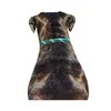 Weatherbeeta corde cuir collier de chien WB1342 (S) Voir les images du produit 3