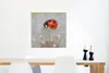 MuchoWow® Poster Marienkäfer auf Löwenzahn 50x50 cm - Produktbild-Vorschau 5