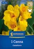 Kiepenkerl Blumenrohr Caballero Canna x Hybrida 1 Pflanze Produktbild-Vorschau 1