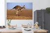 MuchoWow® Poster Känguru - Landschaft - Mantel - Braun Produktbild-Vorschau 4