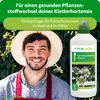 Purgrün Kletterhortensie-Dünger 1 Liter, Produktbild-Vorschau 2
