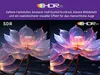 A comparison of SDR and HDR10 image quality, showing a lotus flower. Podgląd zdjęcia produktu