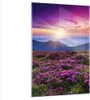 Bilder auf glas - Einteilig - Wiese Berg Himmel Landschaft Produktbild-Vorschau 1