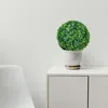 Buis au Boule Buis Décoratif 35 cm Artificielle Plantes Voir les images du produit 2