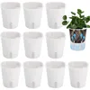 A set of 10 white self-watering plant pots, with one pot shown with a plant and its root system to illustrate the self-watering feature. Produktbild-Vorschau