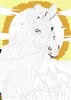 Dipingere per numeri - Sogni animali Anteprima dell’immagine prodotto 6