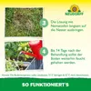 Neudorff Nützlinge gegen Ameisen – 5 Mio. SF-Nematoden Produktbild-Vorschau 6