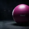 tiguar body ball safety plus 65 cm - prugna Anteprima dell’immagine prodotto 13