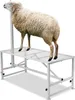 VEVOR Trimmständer, 1195 x 584 mm Viehstand, Metallstand Produktbild-Vorschau 1