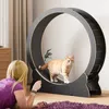 Mondeer Jouet intelligent pour animaux Tapis roulant pour Voir les images du produit 6