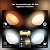 Barevná dobíjecí lampa Hue Go Náhled obrázku produktu 46