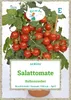 Grüne Fee - Salattomate Balkonzauber Samen - 11535 Produktbild-Vorschau 1
